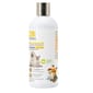 Germagic Germagic 貓犬用 寵物28日抗菌沐浴露-木質花香味 500ml 500ml 貓犬用 正面圖