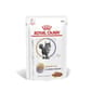 Royal Canin 處方糧 Royal Canin 處方糧 法國皇家貓濕包 成貓泌尿道S/O+鎮靜膀胱處方 (肉汁) 85g (4050400)