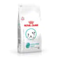 Royal Canin 處方糧 Royal Canin 處方糧 法國皇家狗糧 小型犬低敏+飽足感處方 1kg (4099200)