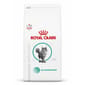 Royal Canin 處方糧 Royal Canin 處方糧 法國皇家貓糧 成貓糖尿病控糖處方 1.5kg (4242300)
