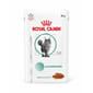 Royal Canin 處方糧 Royal Canin 處方糧 法國皇家 貓濕糧 成貓糖尿病控糖處方(肉汁) 85g (4223200)