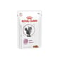 Royal Canin 處方糧 Royal Canin 處方糧 法國皇家 貓濕糧 RENAL+MOBILITY 腎臟+關節處方 (肉汁) 85g (4111500)