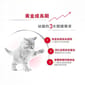 Royal Canin Royal Canin 法國皇家 Kitten 貓濕糧 幼貓營養主食濕糧  85g 85g  正面圖