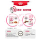 Royal Canin Royal Canin 法國皇家 Kitten 貓濕糧 幼貓營養主食濕糧  85g 85g  特寫圖