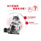 Royal Canin Royal Canin 法國皇家 貓濕糧 成貓理想體態營養主食濕糧  85g 85g  背面圖