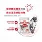 Royal Canin Royal Canin 法國皇家 貓濕糧 成貓理想體態營養主食濕糧  85g 85g  側面圖