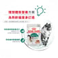 Royal Canin Royal Canin 法國皇家 貓濕糧 成貓7+理想體態營養主食濕糧  85g 85g  側面圖