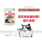 Royal Canin Royal Canin 法國皇家 貓濕糧 老年貓12+營養主食濕糧  85g 85g  正面圖