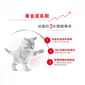 Royal Canin Royal Canin 法國皇家 Kitten 貓濕糧 幼貓營養主食濕糧  85g 85g  背面圖