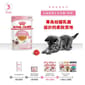 Royal Canin Royal Canin 法國皇家 Kitten 貓濕糧 幼貓營養主食濕糧  85g 85g  正面圖