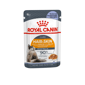 Royal Canin Royal Canin 法國皇家 貓濕糧 成貓亮毛及皮膚加護主食濕糧  85g 啫喱配方 85g 85g  正面圖