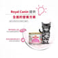 Royal Canin Royal Canin 法國皇家 貓濕糧 離乳貓及母貓營養主食罐頭 BB02 195g 195g  背面圖