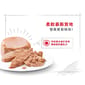 Royal Canin Royal Canin 法國皇家 狗濕糧 健康營養系列 初生犬及母犬營養主食罐頭 初生BB慕絲 195g 195g  正面圖