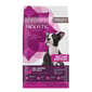 Holistic Holistic Select活力滋 小型幼犬 無穀物配方 Small Breed Puppy 4lb 4lb  正面圖