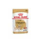 Royal Canin Royal Canin 法國皇家 狗濕糧 芝娃娃成犬專屬主食濕糧  85g 85g  正面圖