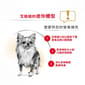 Royal Canin Royal Canin 法國皇家 狗濕糧 芝娃娃成犬專屬主食濕糧  85g 85g  正面圖