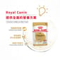 Royal Canin Royal Canin 法國皇家 狗濕糧 芝娃娃成犬專屬主食濕糧  85g 85g  正面圖