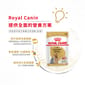 Royal Canin Royal Canin 法國皇家 狗濕糧 約瑟爹利成犬專屬主食濕糧  85g 85g  側面圖