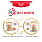 Royal Canin Royal Canin 法國皇家 狗濕糧 約瑟爹利成犬專屬主食濕糧  85g 85g  包裝圖