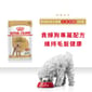 Royal Canin Royal Canin 法國皇家 狗濕糧 貴婦狗成犬專屬主食濕糧  85g 85g  正面圖
