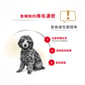 Royal Canin Royal Canin 法國皇家 狗濕糧 貴婦狗成犬專屬主食濕糧  85g 85g  正面圖