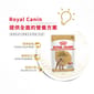 Royal Canin Royal Canin 法國皇家 狗濕糧 貴婦狗成犬專屬主食濕糧  85g 85g  正面圖