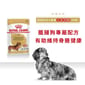 Royal Canin Royal Canin 法國皇家 狗濕糧 臘腸狗成犬專屬主食濕糧  85g 85g  正面圖