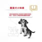 Royal Canin Royal Canin 法國皇家 狗濕糧 臘腸狗成犬專屬主食濕糧  85g 85g  背面圖