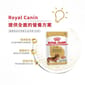 Royal Canin Royal Canin 法國皇家 狗濕糧 臘腸狗成犬專屬主食濕糧  85g 85g  側面圖