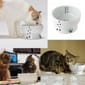 日本猫壱 日本猫壱 necoichi ペット 陶瓷闊圓寵物水碗   DC-0704-SC02  貓犬用 正面圖