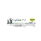 營養膏 Mervue Lysine 貓用補充劑 Lysine 100 30ml (FP8140) (FP10049) (新舊包裝隨機發貨)
