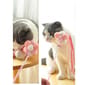 HelloDOG HelloDOG 玩具嚴選 仙女流蘇鈴鐺逗貓棒   特寫圖