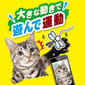 日本Petio 日本Petio 軟棉棉蜻蜓貓咪逗貓棒   背面圖