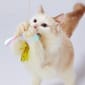 日本Petio 日本Petio 閃亮蜻蜓逗貓棒   正面圖