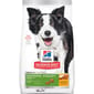 Hills 狗糧 高齡成犬7+系列 Youthful Vitality 年輕活力 標準粒 21.5lb (10774) (新舊包裝隨機發貨) 正面圖