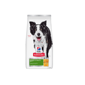 Hills 狗糧 高齡成犬7+系列 Youthful Vitality 年輕活力 標準粒 21.5lb (10774) (新舊包裝隨機發貨) 正面圖