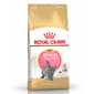 Royal Canin Royal Canin 貓糧 法國皇家貓糧 純種系列 英國短毛幼貓專屬配方 KBSH38 2kg 2kg  正面圖