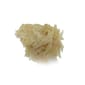 GRANDEE GRANDEE 香港製造 天然風乾小食 純魚肉片 50g 50g 貓犬用 正面圖