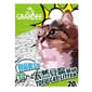 GRANDEE GRANDEE Tofu Cat Litter 綠茶味 20L 20L  正面圖