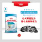 Royal Canin Royal Canin 狗糧 法國皇家狗糧 健康營養系列 超小型幼犬營養配方 超小顆粒配方幼犬糧 XSP 3kg 3kg  正面圖