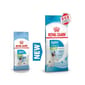 Royal Canin Royal Canin 狗糧 法國皇家狗糧 健康營養系列 超小型幼犬營養配方 超小顆粒配方幼犬糧 XSP 3kg 3kg  包裝圖