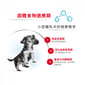 Royal Canin Royal Canin 狗糧 法國皇家狗糧 健康營養系列 小型初生犬及母犬營養配方 小型初生BB糧 MIST 3kg 3kg  背面圖