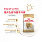 Royal Canin Royal Canin 狗糧 法國皇家狗糧 純種系列 比高成犬專屬配方 比高成犬糧 3kg 3kg  側面圖