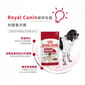 Royal Canin Royal Canin 法國皇家 狗濕糧 中型成犬營養主食濕糧  140g 140g  側面圖