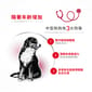 Royal Canin Royal Canin 法國皇家 狗濕糧 精煮肉汁 中型老犬配方7+ 140g 140g  背面圖