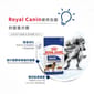 Royal Canin Royal Canin 法國皇家 狗濕糧 成犬營養主食濕糧 15個月大至8歲 140g 140g  側面圖