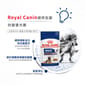 Royal Canin Royal Canin 法國皇家 狗濕糧 大型老犬8+營養主食濕糧  140g 140g  側面圖