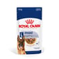 Royal Canin Royal Canin 法國皇家 狗濕糧 大型老犬8+營養主食濕糧  140g 140g  正面圖