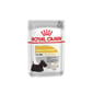 Royal Canin Royal Canin 法國皇家 狗濕糧 成犬皮膚舒緩加護主食濕糧  85g 85g  正面圖