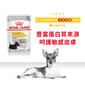 Royal Canin Royal Canin 法國皇家 狗濕糧 成犬皮膚舒緩加護主食濕糧  85g 85g  正面圖